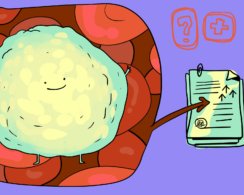 Почему повышены лимфоциты и что с этим делать