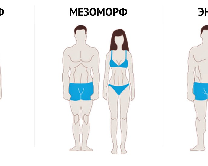 Кость широкая: тренировки и диета для эндоморфа